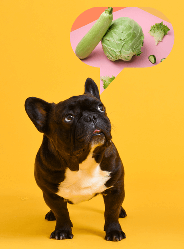 a small dog thinking about what vegetables to eat.